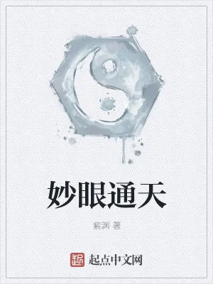 《妙眼通天》小说封面
