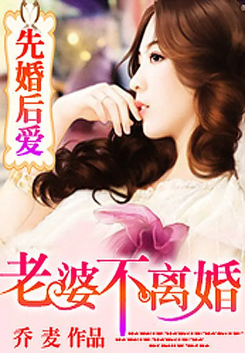 《先婚后爱：老婆，不离婚》小说封面