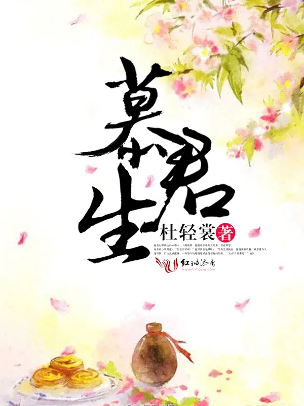 《慕君生》小说封面