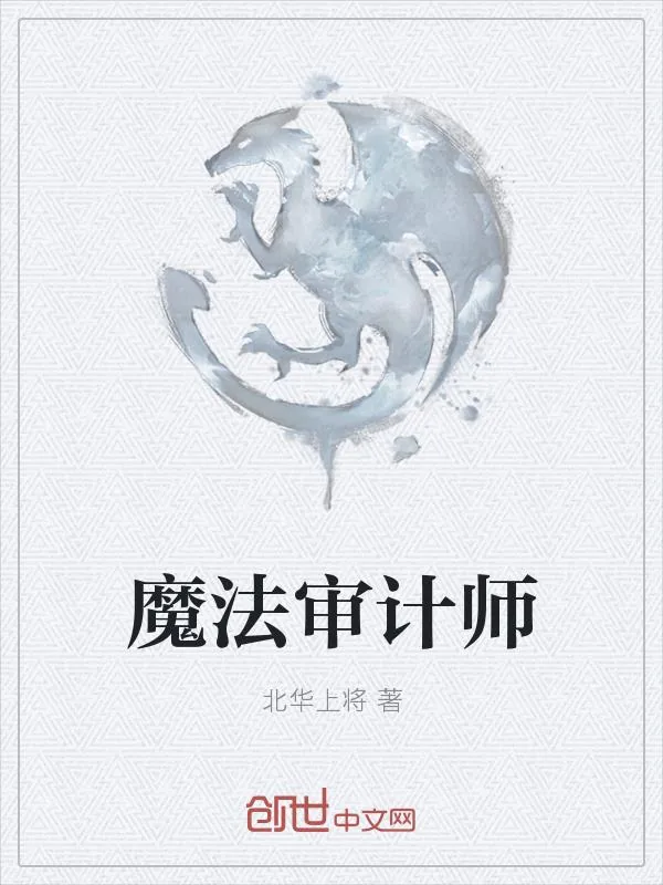 《魔法审计师》小说封面