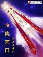 《收集末日》小说封面