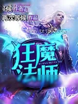 《狂魔法师》小说封面