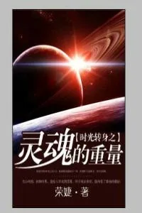 《灵魂的重量》小说封面
