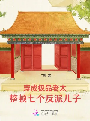 《穿成极品老太，整顿七个反派儿子》小说封面