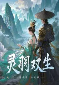 《灵羽双生》小说封面