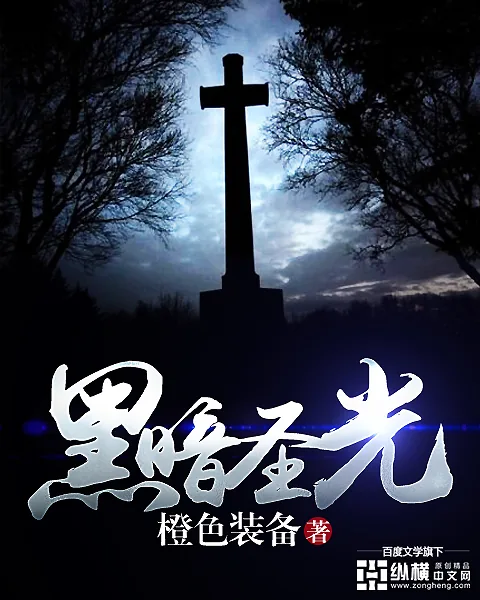 《黑暗圣光》小说封面