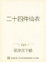 《二十四件仙衣》小说封面