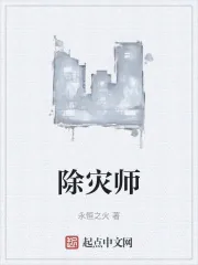 《除灾师》小说封面