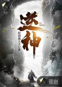 《逆神》小说封面