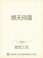 《撼天问道》小说封面