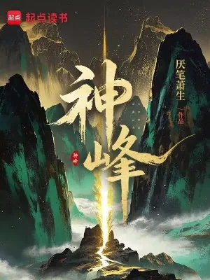 《神峰》小说封面