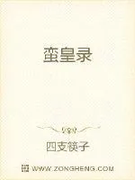 《蛮皇录》小说封面
