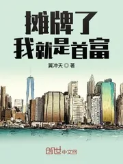 《摊牌了我就是首富》小说封面