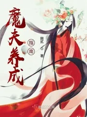 《魔夫养成指南》小说封面