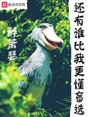 《还有谁比我更懂盲选》小说封面