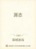 《源志》小说封面