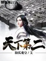 《天下第二》小说封面