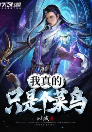 《我真的只是个菜鸟》小说封面