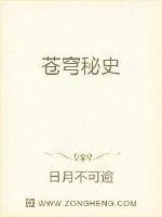 《苍穹秘史》小说封面