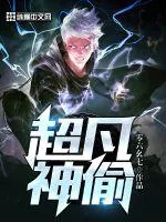 《超凡神偷》小说封面