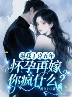 《逼我丁克五年，怀孕再嫁你疯什么》小说封面