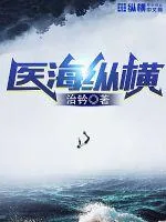 《医海纵横》小说封面