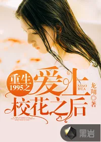 《重生1995之爱上校花之后》小说封面