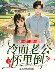 《推一把！踹一脚！冷面老公怀里倒》小说封面
