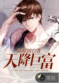 《财运天降》小说封面