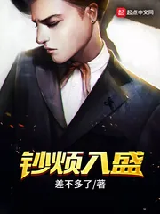 《钞烦入盛》小说封面