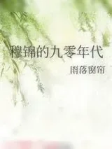 《穆锦的九零年代》小说封面