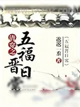 《清穿之五福晋日常》小说封面