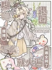 《糊咖退圈摆摊，怎么就火遍全网了》小说封面