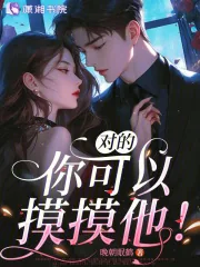 《对的，你可以摸摸他！》小说封面
