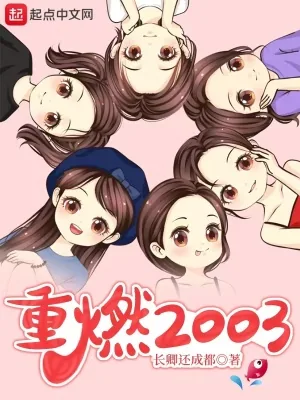 《重燃2003》小说封面