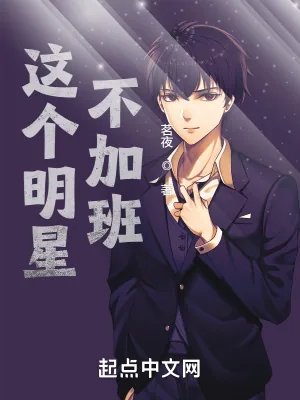 《这个明星不加班》小说封面