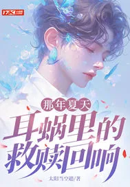 《那年夏天，耳蜗里的救赎回响》小说封面