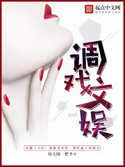 《调戏文娱》小说封面