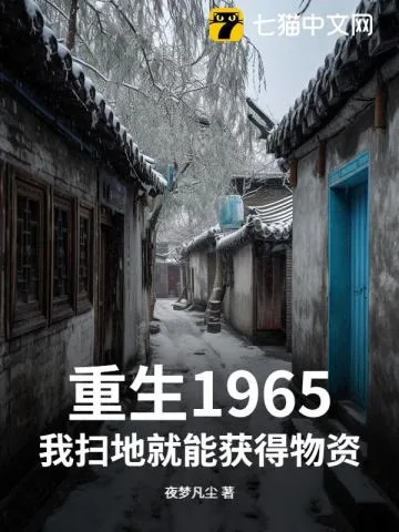 《重生1965，我扫地就能获得物资》小说封面