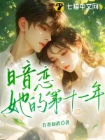 《暗恋她的第十一年》小说封面