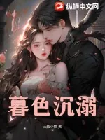 《暮色沉溺》小说封面