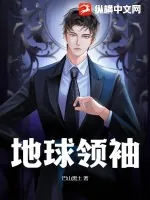 《地球领袖》小说封面