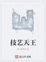 《技艺天王》小说封面