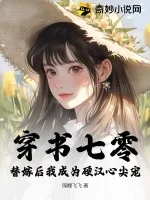 《穿书七零，替嫁后我成为硬汉心尖宠》小说封面