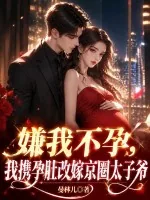 《嫌我不孕？我携孕肚改嫁京圈太子爷》小说封面