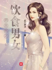 《四合院之饮食男女》小说封面