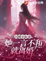 《闪婚小娇妻，她一言不和就离婚》小说封面