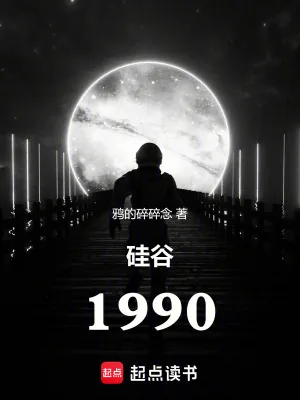 《硅谷1990》小说封面
