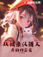 《从相亲认错人开始的恋爱》小说封面