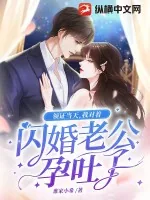 《领证当天，我对着闪婚老公孕吐了》小说封面